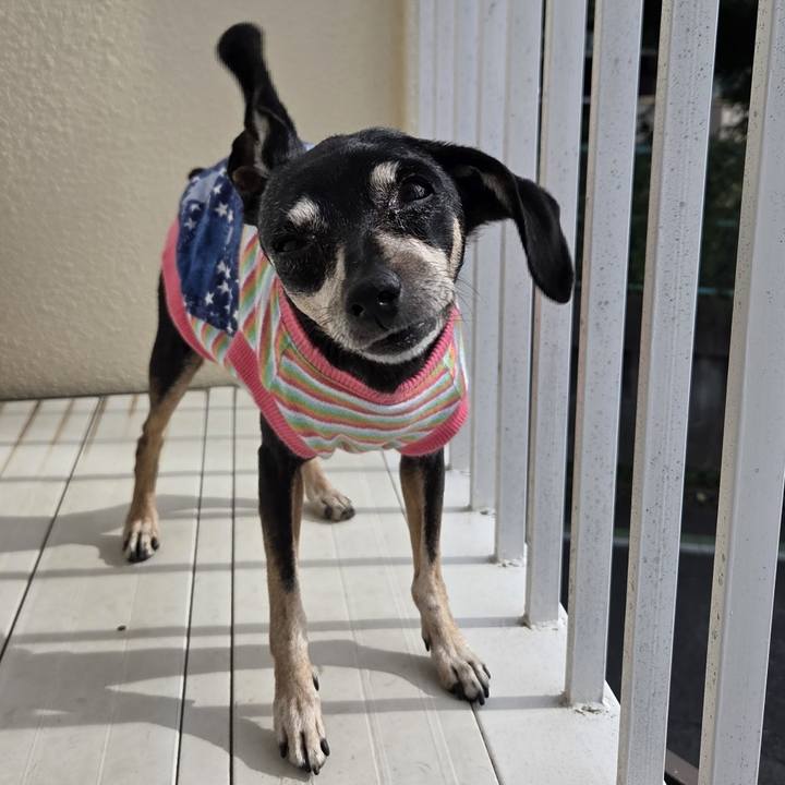 5e68c304 e19f 4085 8810 bd5c230142ef 1760331652356