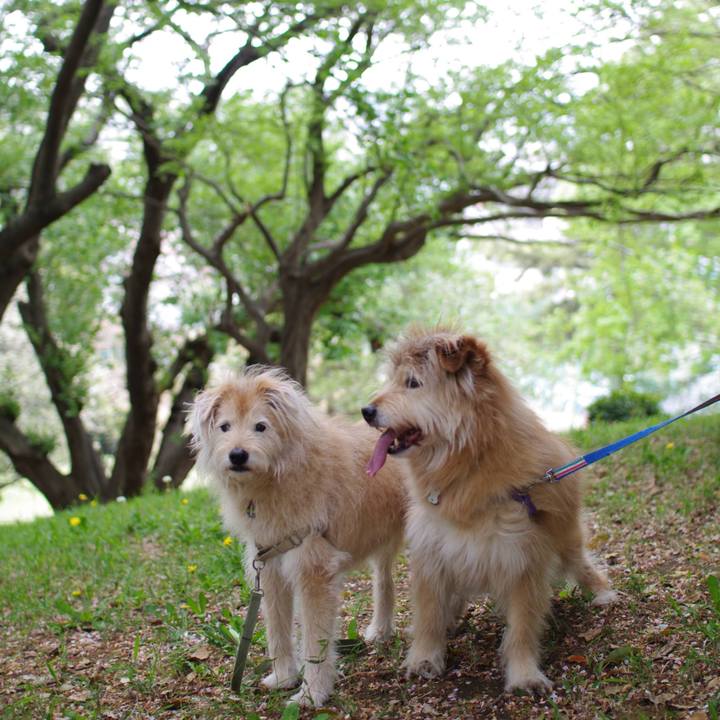 5e68cdcc aec7 4ae0 8685 a268ef2d1e4e 1617606731662