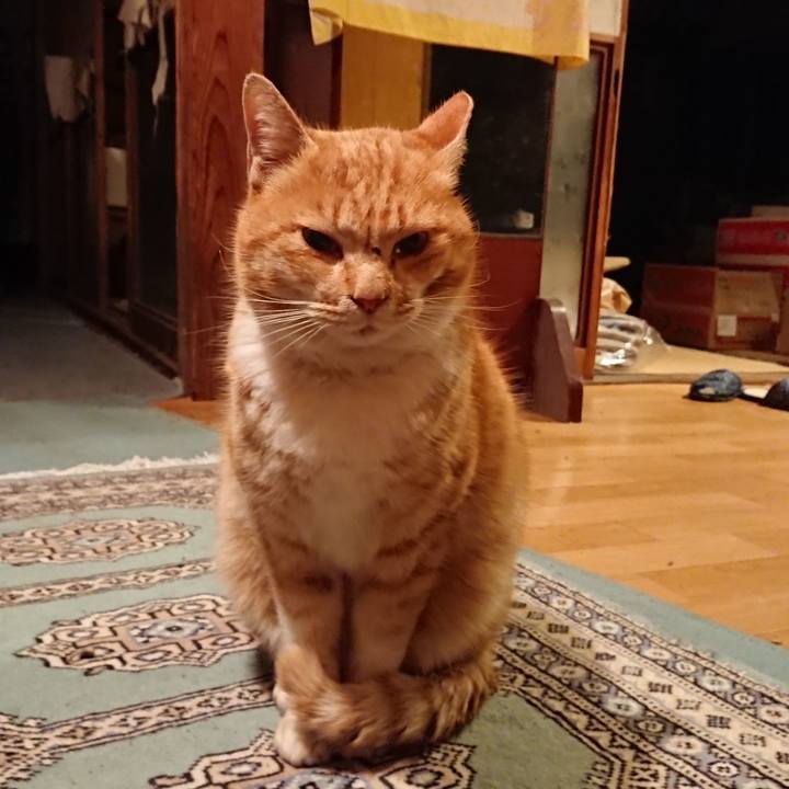 5e690ac1 2297 4d5a 98d3 3795ab06cf04 1579857420997