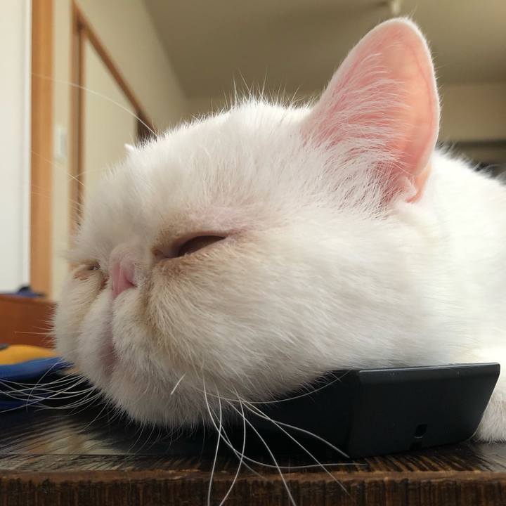 5e6916d6 236c 4482 8855 57fb33872ba5 1655603284956