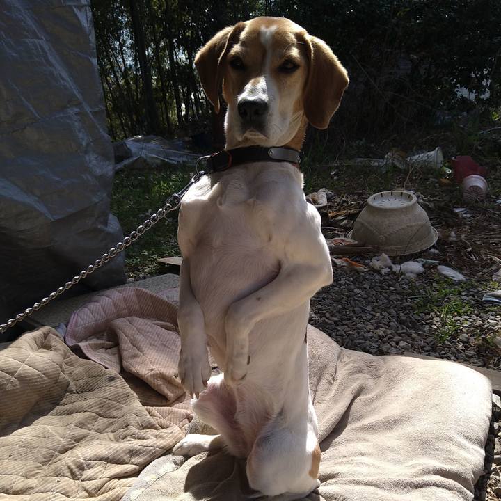 5e691e12 70c7 4bb4 a94b 20d16311d1f1 1647438735991