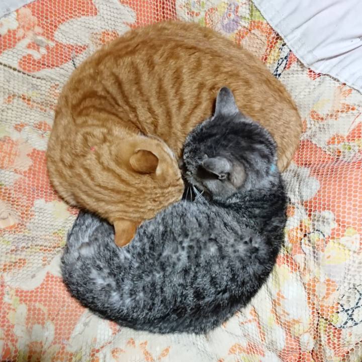 5e69248d f667 4077 a499 fd8cbf450e1f 1577797643231