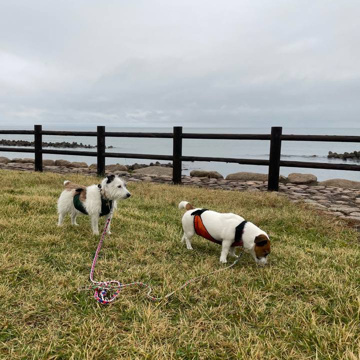 5e69390b bceb 43f6 876c d2d24d1c0441 1730242418187