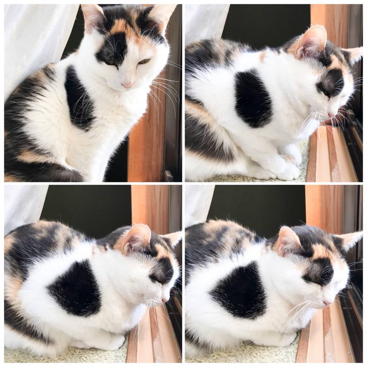 5e697723 20fa 4351 9da0 433c9a859b8e 1523088019852