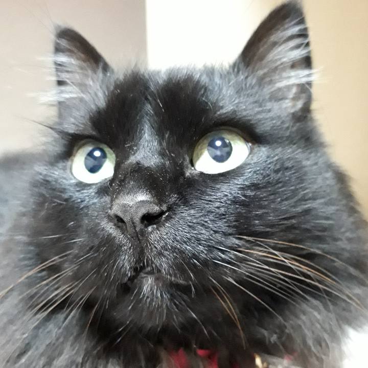 5e69b7a3 9254 4f34 becb 6c9927d1a619 1524572133737