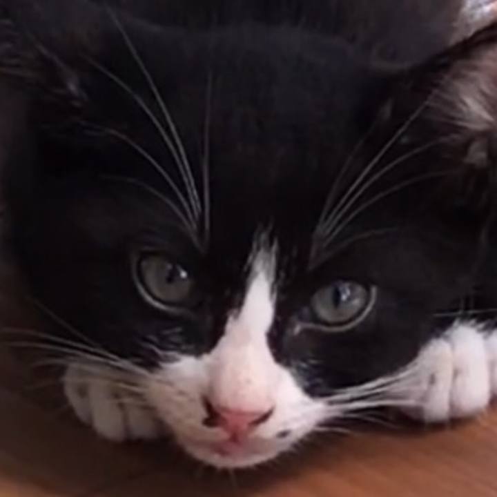 5e69f04f da42 4754 ab0c 5061bf8c85a5 1731818169186