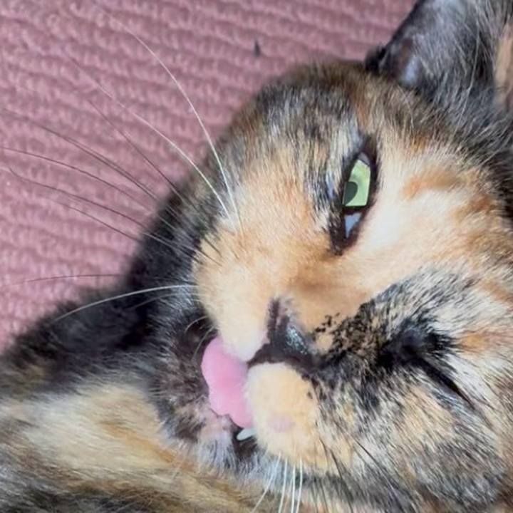 5e69fd9f 5556 406f ac64 24dea1652363 1756499706210