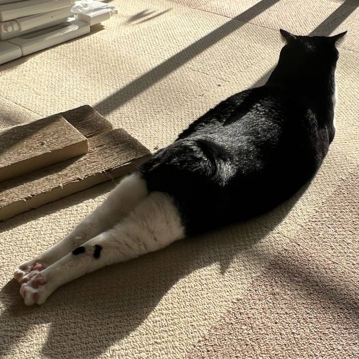 5e6a6465 aee0 41ab 8cc6 2a96626dcb92 1763336986013