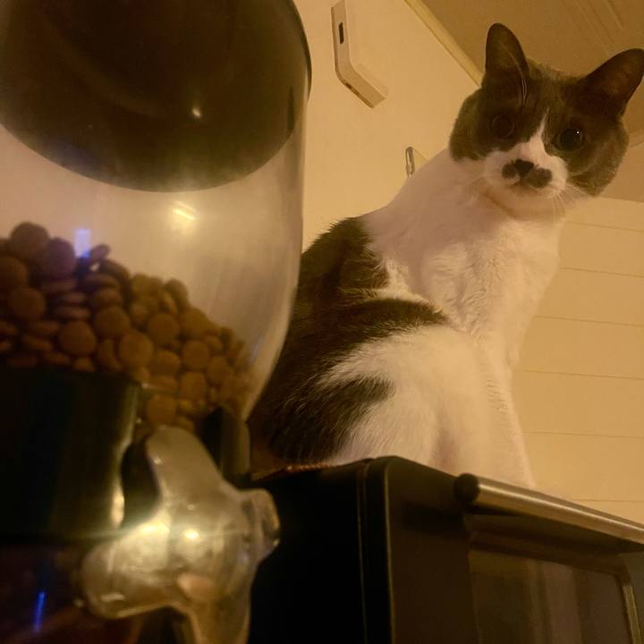 5e6aad6e 5634 4371 8040 985b371e3493 1734302346916