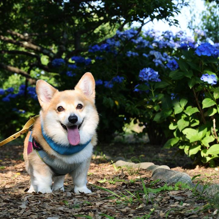 5e6af56d e459 4af6 8182 580aa5610039 1731153863037