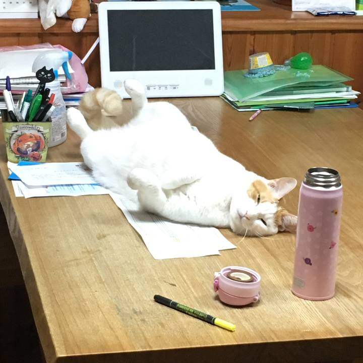 5e6b064e 8017 4620 9f7e 6946330acd9f 1507905514341