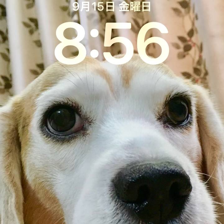 5e6b75b7 baab 42b2 83b7 cf6b116f190c 1694735945750