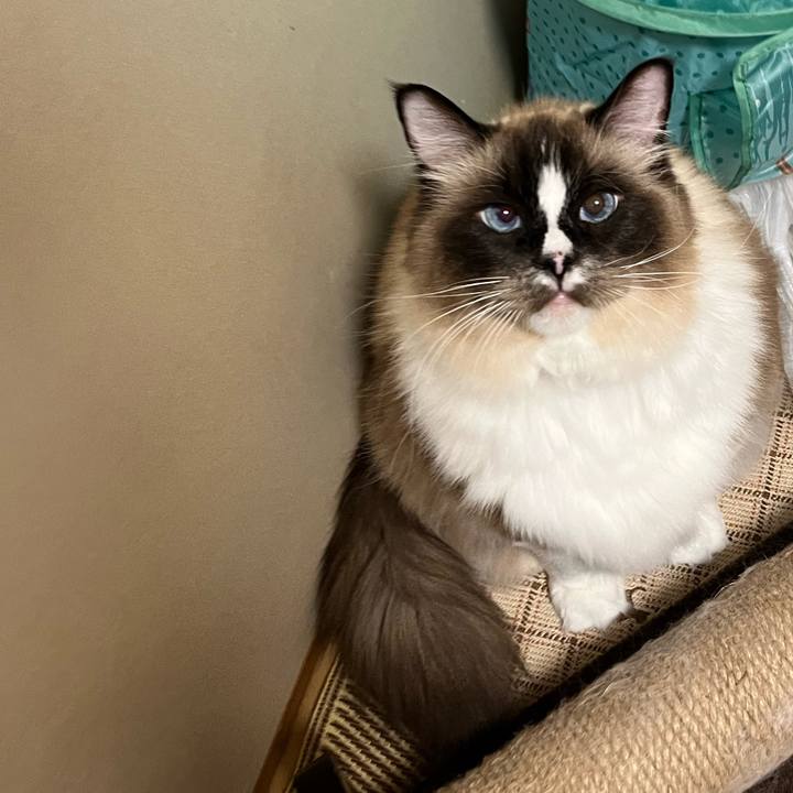 5e6b940a ab10 4f3a ba4b 41cc848ab4cc 1706965514264