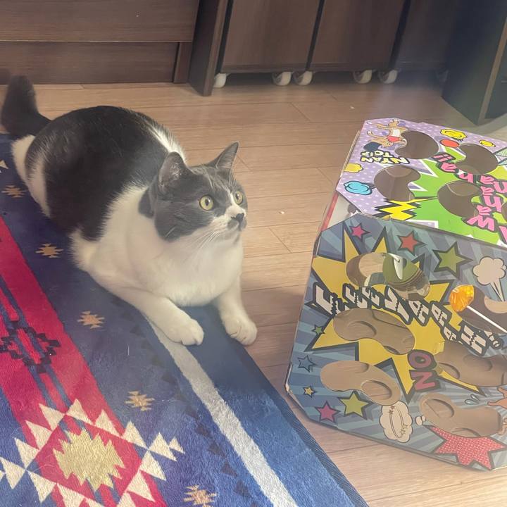 5e6ba58a f653 451c 97c1 a8a6255f8b60 1630804543326