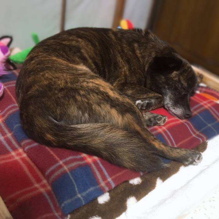 5e6bc79f fb24 4bb2 9bbf 0264860bc43c 1548591536262