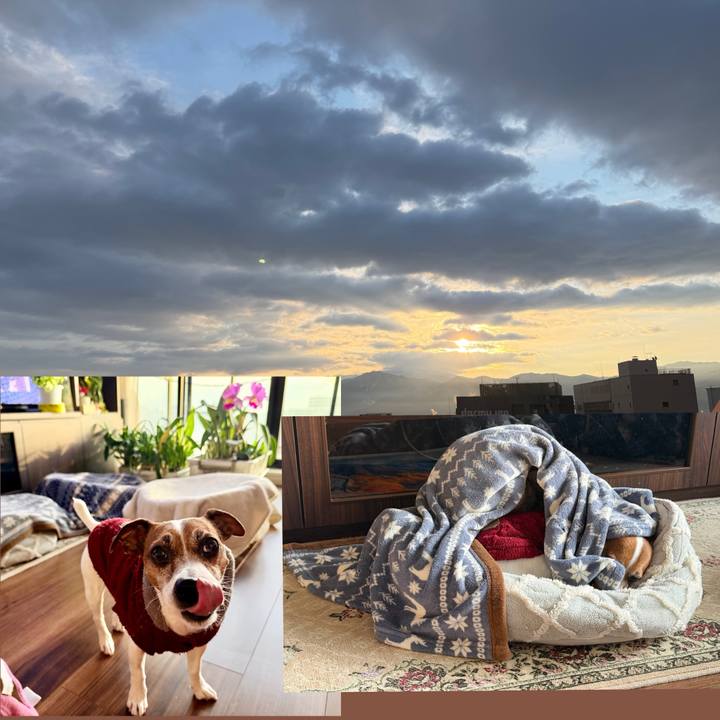 5e6bfa0e c37e 4817 bb6c 995d92a840a9 1767576917882