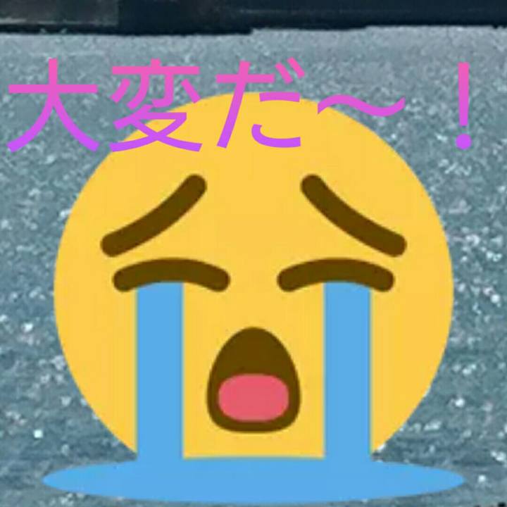 5e6c2fe5 b6d4 4c4c a01b 95b7cbe3c6f0 1616495138959
