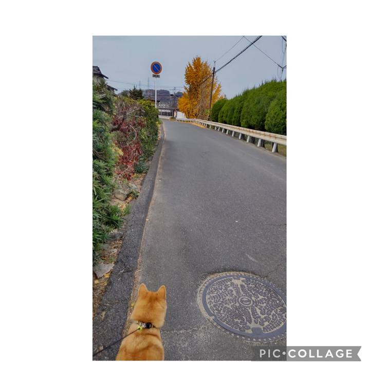 5e6c7dc9 c319 4ff5 9021 7906414b70b0 1701730690763