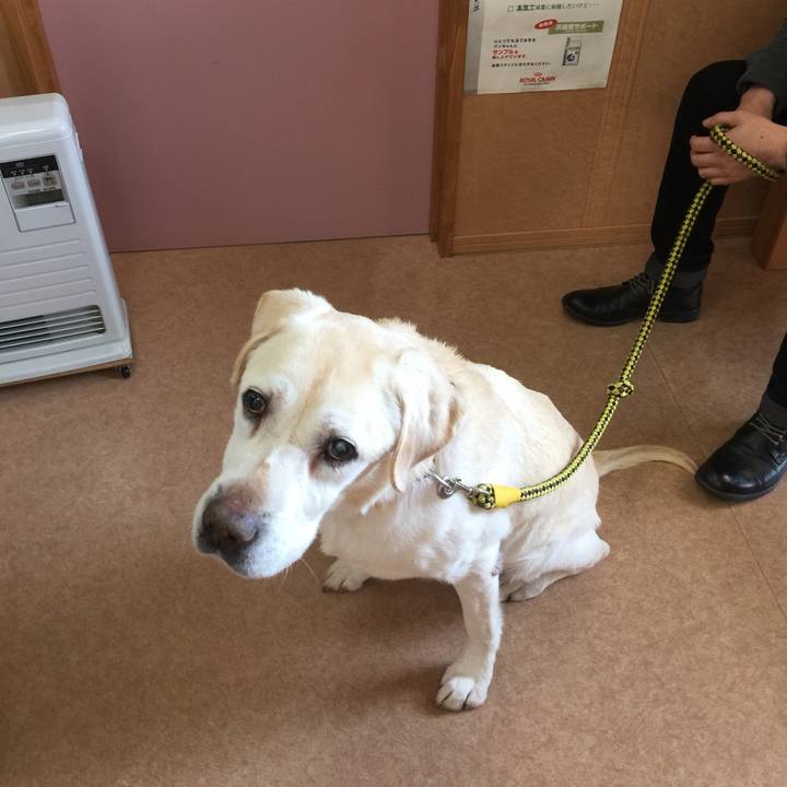 5e6cdd4e 0766 46df 8f5a 633d39a362d6 1520996512093