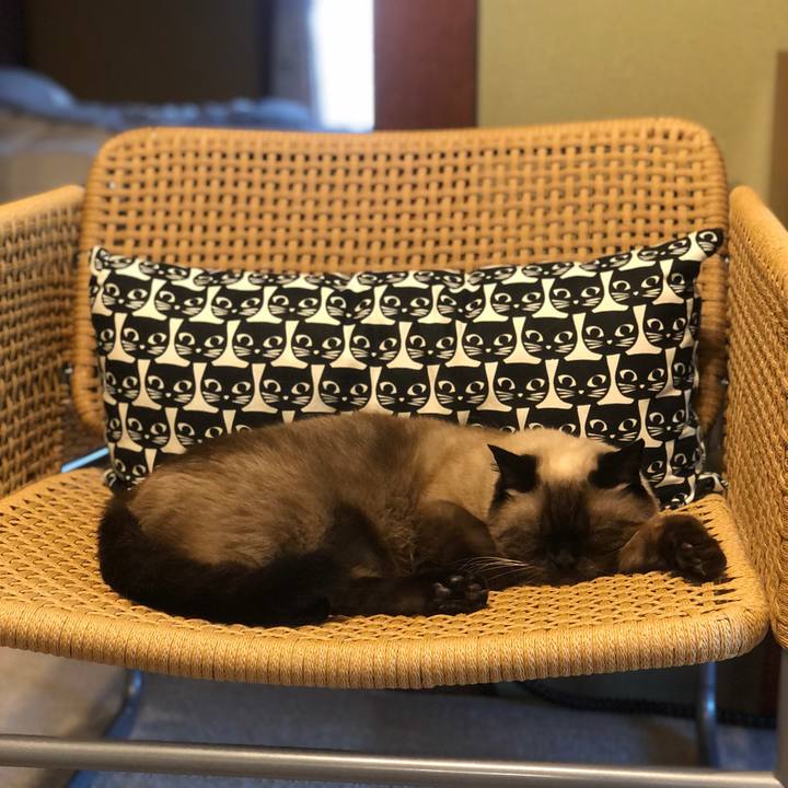 5e6d6b5f f3c4 4daa a4e4 5fc9877eab57 1630194113068