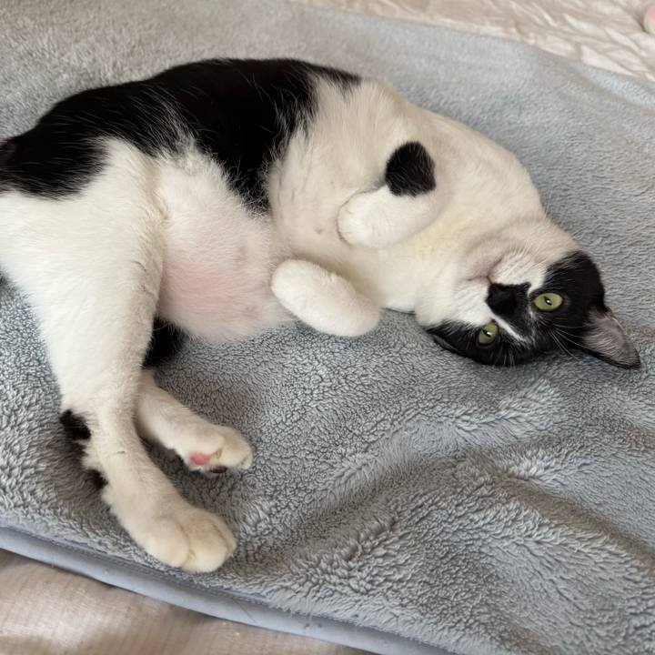 5e6d9194 2e47 43bd b216 d2ee36039ba5 1760837137272