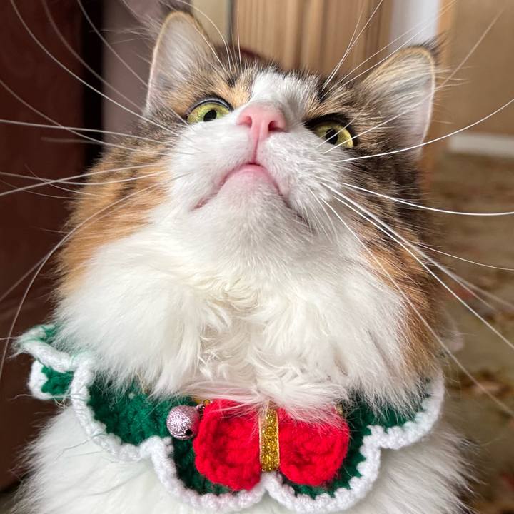 5e6d9ecd c441 4b9a 874b 7f39f350b073 1764727098108