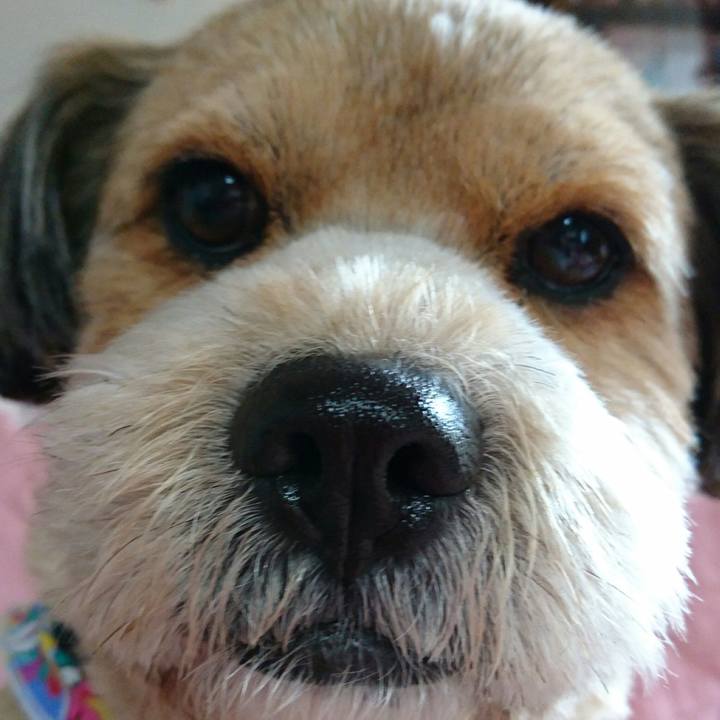 5e6da75b ffe4 47af a896 8d3ce21a9971 1523681091234