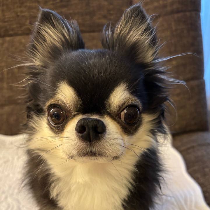 5e6dc317 62bd 4bb4 b840 319684f8ae98 1760139984302