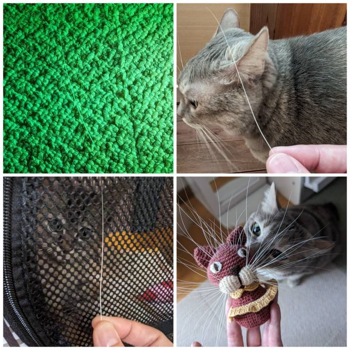 5e6dc544 87c0 48ba 9d5f 0bb255c52bd2 1698552722740