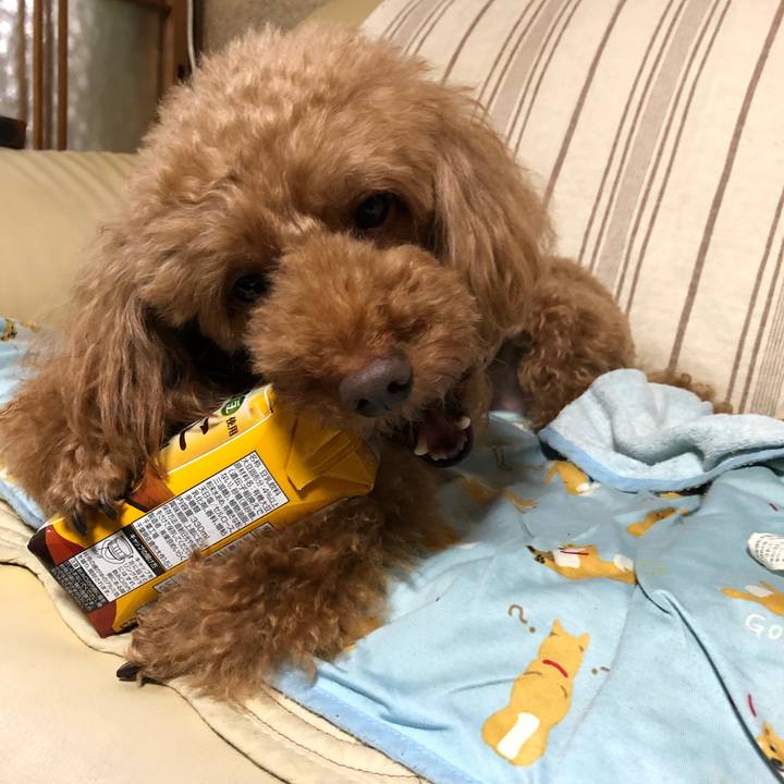 5e6dced5 5813 43c4 bc09 474850c34042 1565480761024