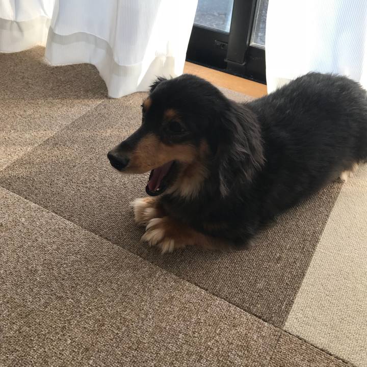 5e6de0c4 d483 4b18 a3cf 2b47daabd55e 1524260896898