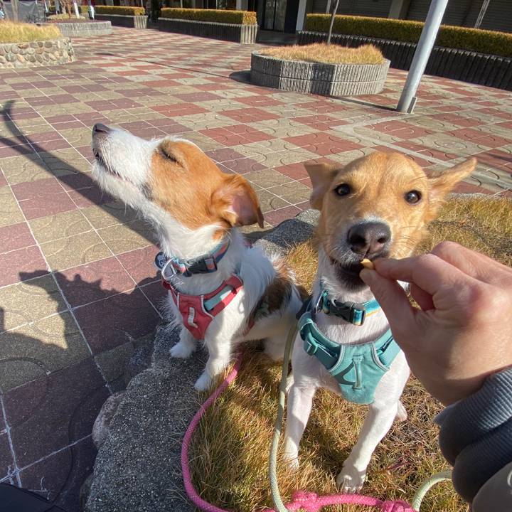 5e6e0d26 e35d 46b6 80cc 5274d46da8da 1764402713729