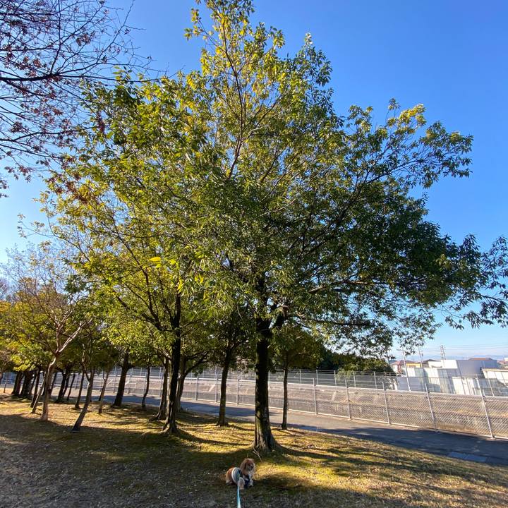 5e6e137a 2e89 456c 94f2 79a7f80d6a1a 1579396522790