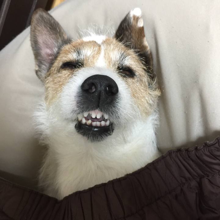 5e6e3075 50a2 4b03 9c5d 8e8d211478c8 1547903925726