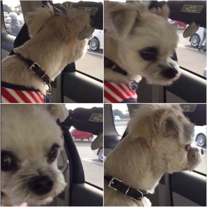 5e6e4c76 00dc 45a2 b98c e173ea75239d 1543737923201