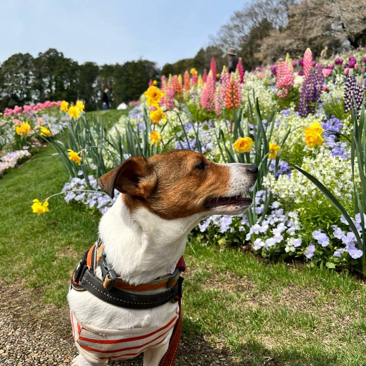 5e6e74c5 4f01 45b4 9f54 13ca750fc551 1712479032129