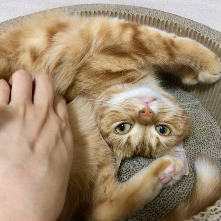 5e6e86e0 1d70 41b3 b3b4 923d5d45b2d7 1534146256034