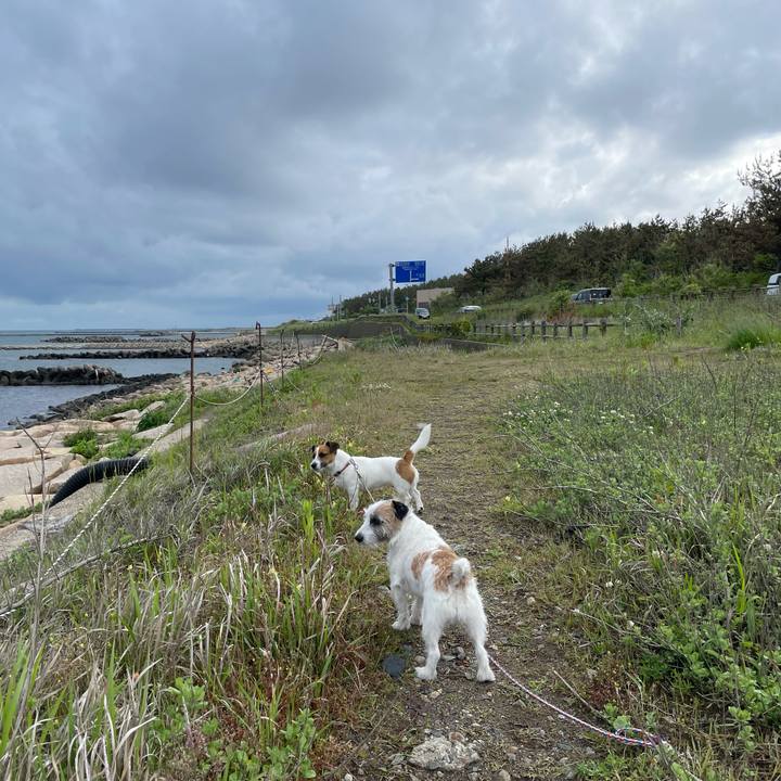 5e6e9be4 05c8 4d7a b254 fb85742a359c 1653260849144