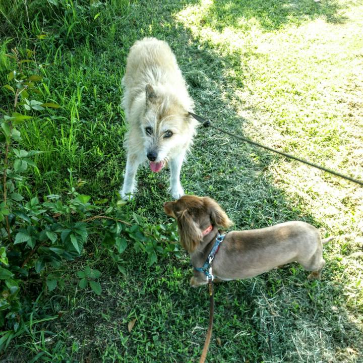 5e6ea800 92cd 401a b555 0b7388e174e0 1531523827420