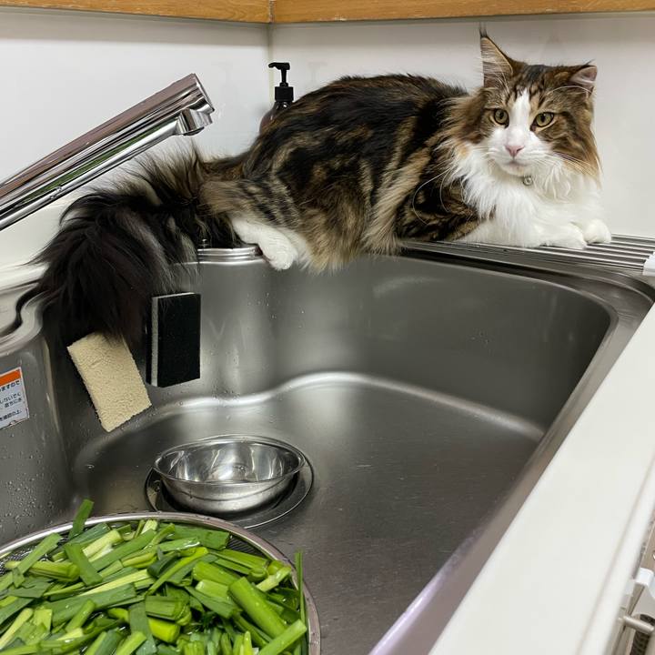 5e6eb76b c63c 4541 9aa7 d99fe8d21e4f 1646998897574