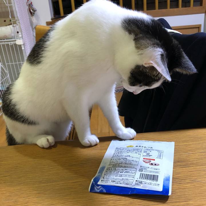 5e6ec62d e2c0 4994 9573 5f75f52c32f2 1689078999040