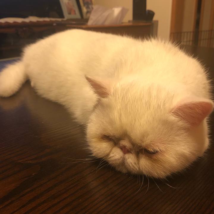 5e6ee168 c319 42c3 b8dd f14d79c0b0a8 1567778458251