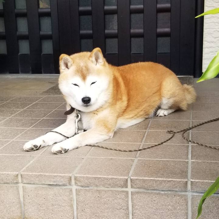 5e6f4c16 c70d 4e99 9e07 fc3598fa15b7 1698542200519