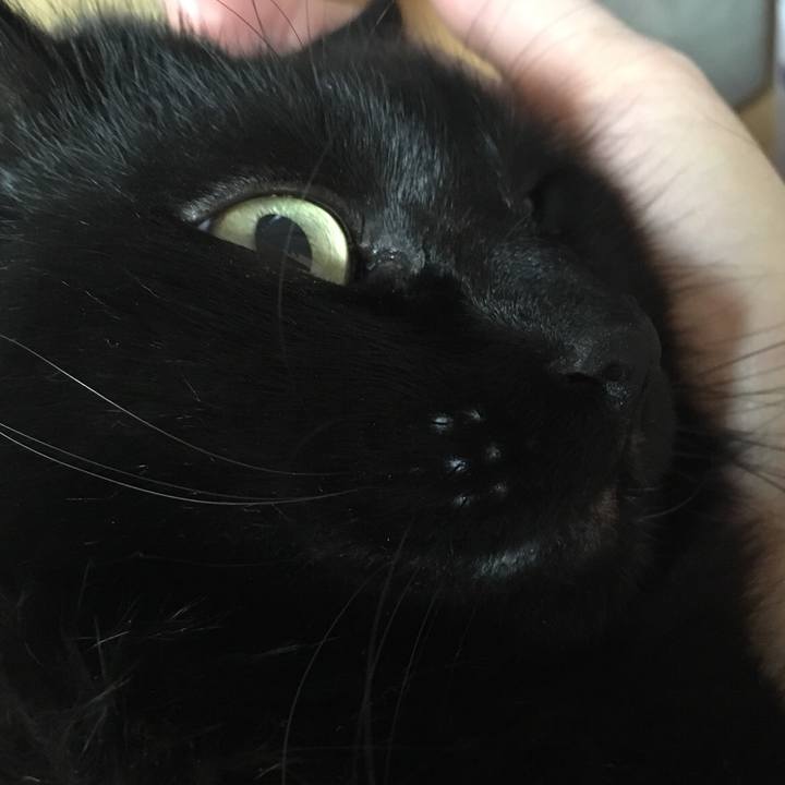 5e6f575a 0a58 42e4 8568 30ed757ad1bd 1520692330557