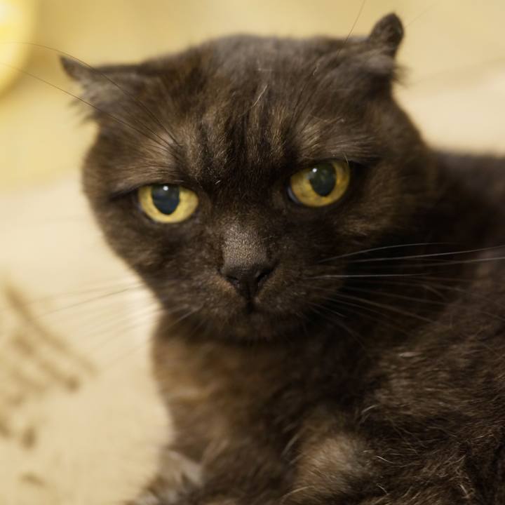 5e6f5d5b 74ef 43d4 b10f 80b0f3add602 1629036958862