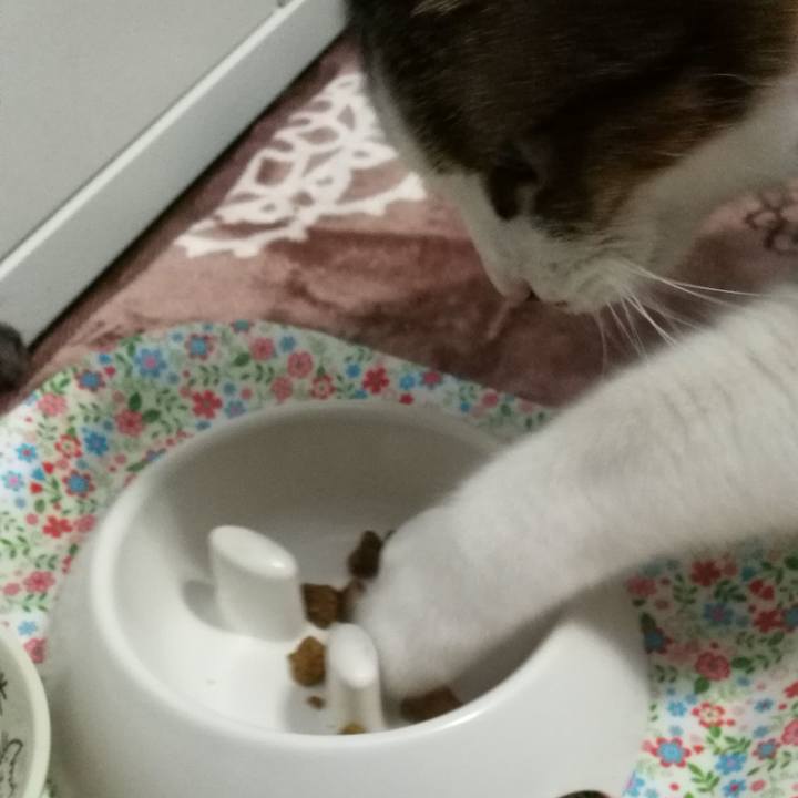 5e6f68de 0698 41b5 ba82 92d824d6b030 1522672127814