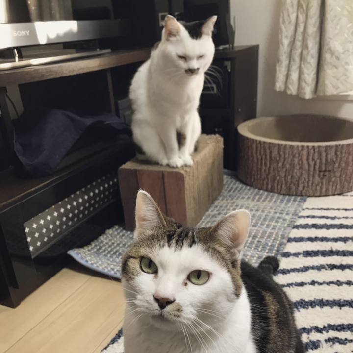 5e6f7a1f 2187 46df be19 0f5a7cdd4888 1547101347344