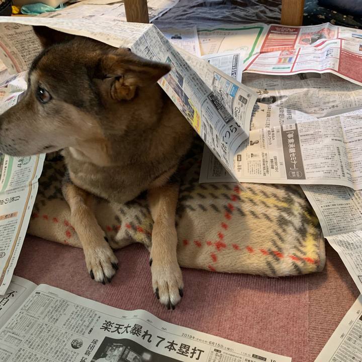 5e6fa4e1 2798 4825 8187 a11fe1752162 1561451444215