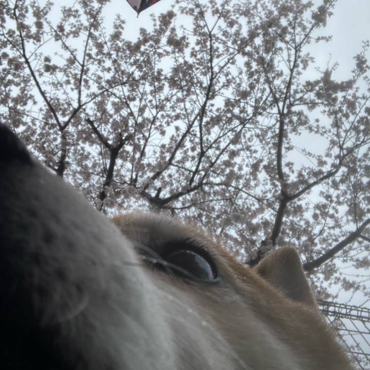 5e6fc0a5 f841 49ae 9b16 adb1cf387380 1679736238111