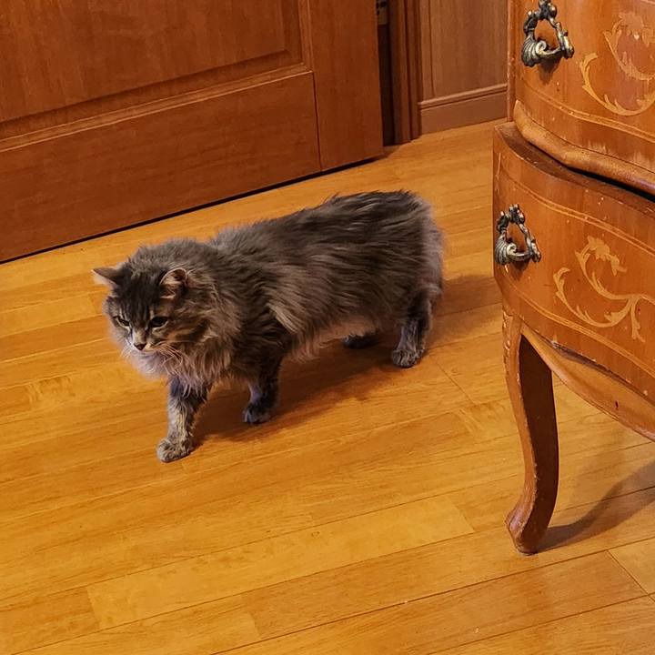 5e6fcd50 db89 4776 9fe4 71ee24161773 1746570585036